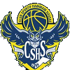 CSF哈曼利夫女篮 logo